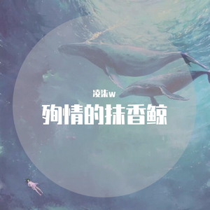 临沂螺杆空压机厂家用小鲤营销导航
