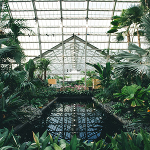 临沂螺杆空压机厂家用小鲤营销导航
